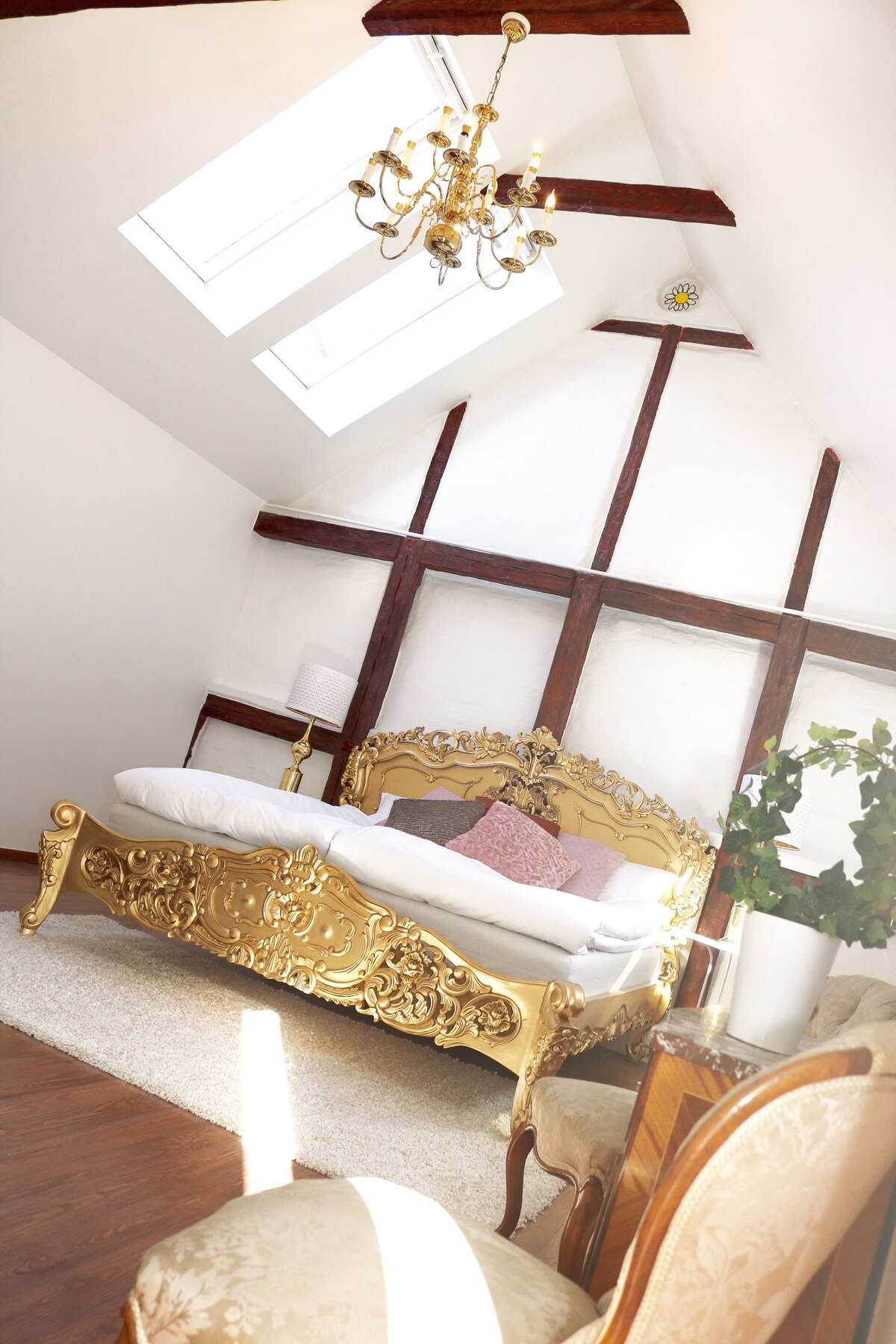 Divine Living – Apartments - Photo 5