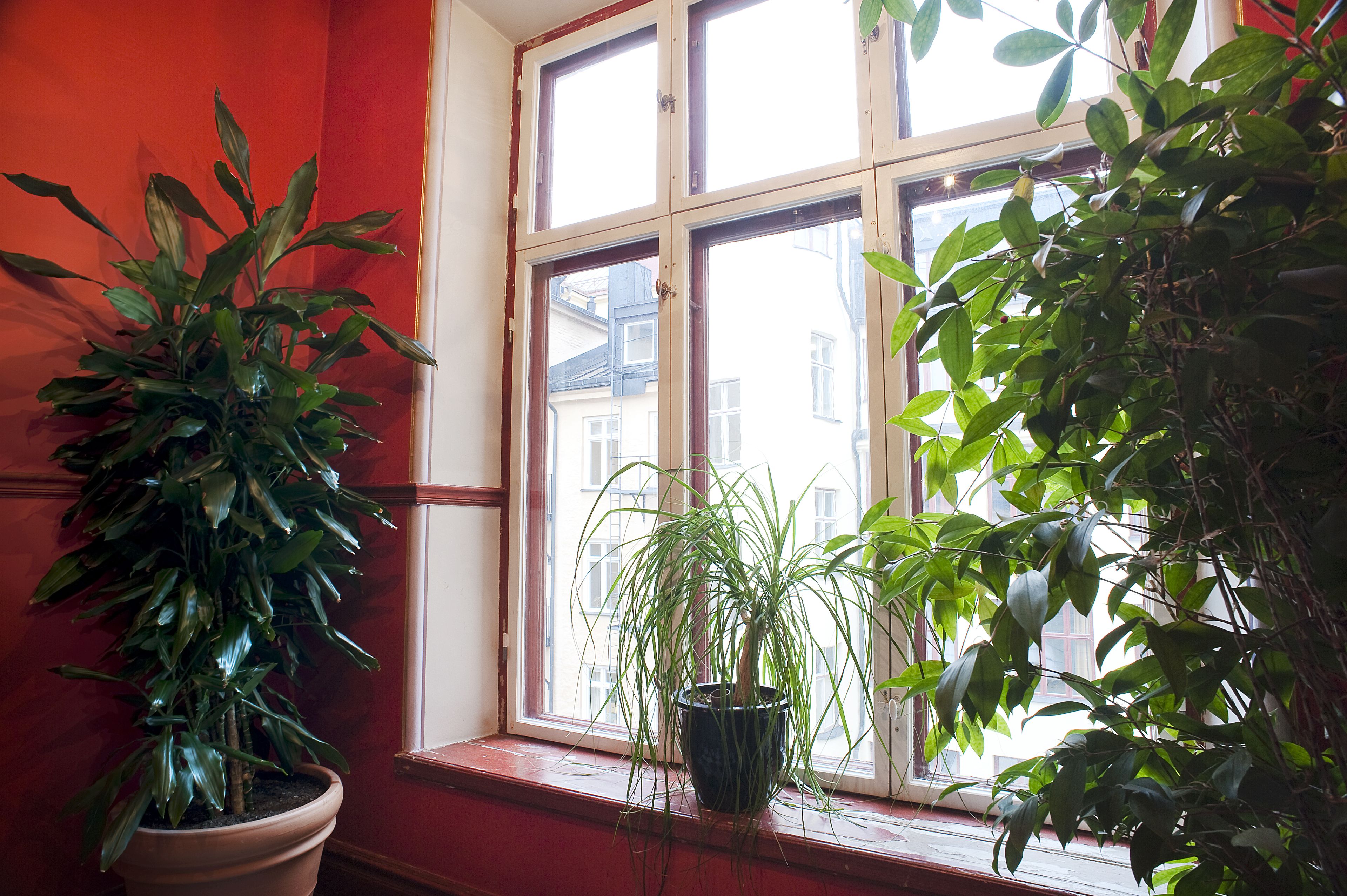 Hotel Hellsten - Photo 7